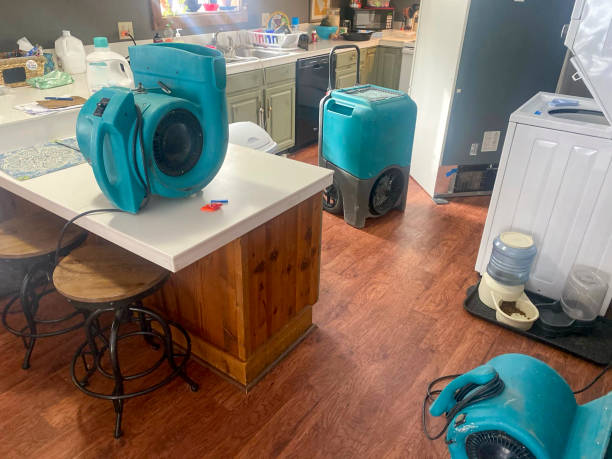 Best Emergency water damage restoration  in Marsing, ID