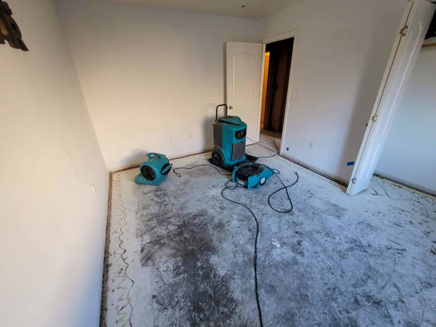 Best Emergency water damage restoration  in Marsing, ID