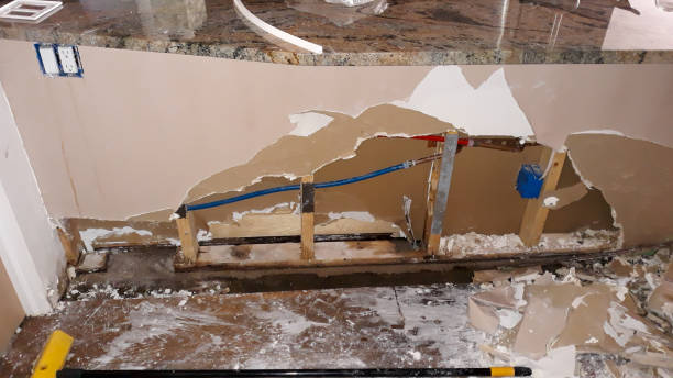 Best Mold removal after water damage  in Marsing, ID
