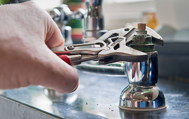 Best Professional water damage repair  in Marsing, ID
