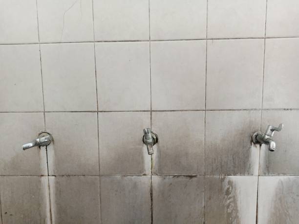 Best Water damage contractors near me  in Marsing, ID