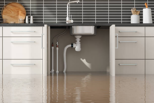 Best Flooded house restoration  in Marsing, ID