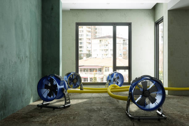 Reliable ID Water damage restoration Solutions