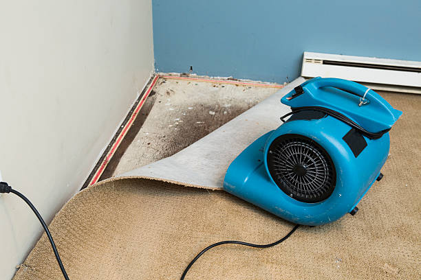 Best Flood restoration services  in Marsing, ID